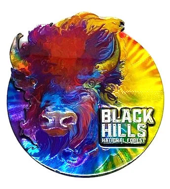 BH Tie Dye Buffalo Magnet