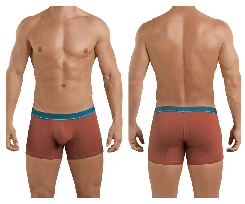 Men breathable sport briefs-Clever 2394 Attractive Boxer Briefs Color Brown